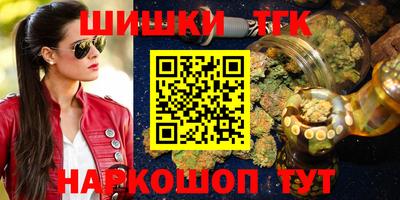 индика Пенза