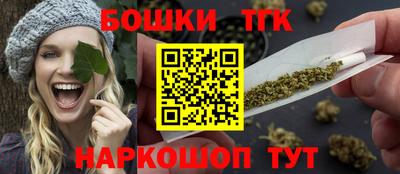 индика Пенза