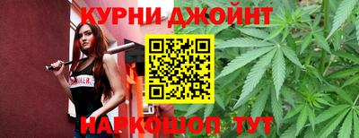 индика Пенза