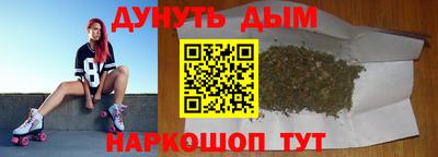 индика Пенза