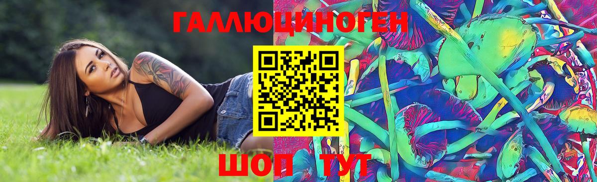 Галлюциногенные грибы Psilocybine cubensis  наркошоп  Псилоцибиновые грибы Magic Shrooms  Полысаево  Вход с VPN 
